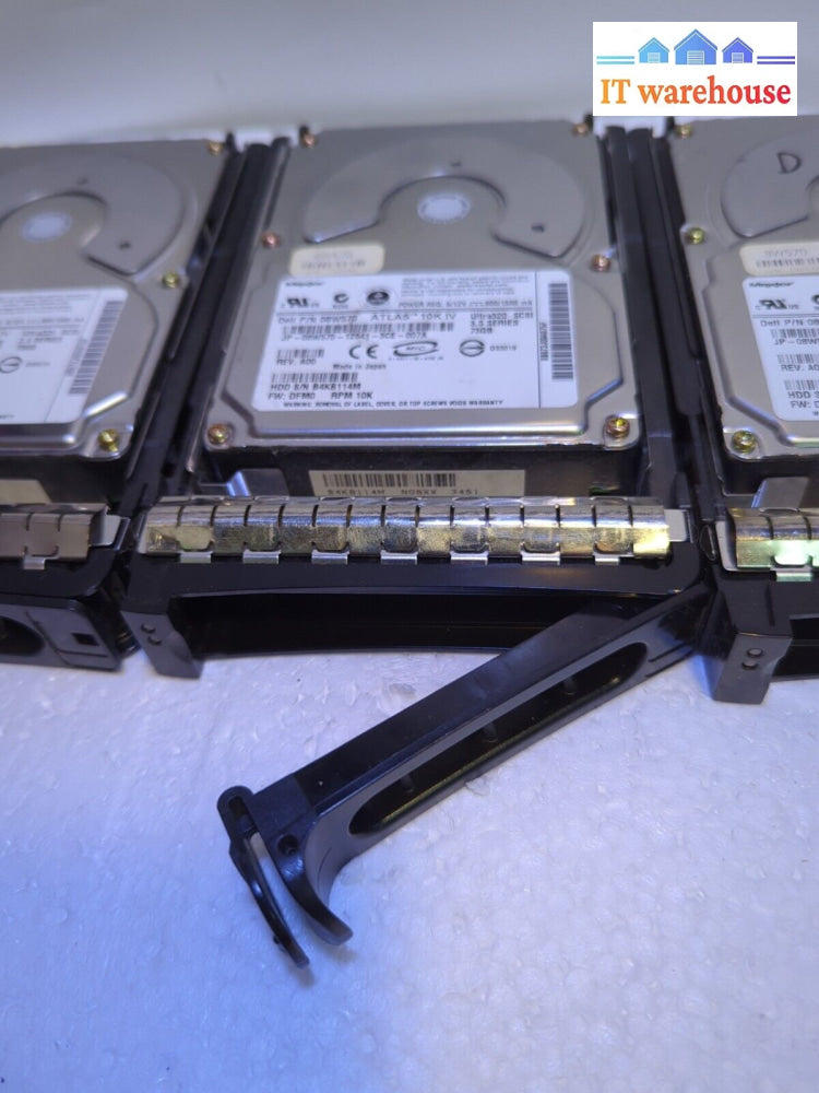 - 3X Dell Maxtor Hard Drive 73Gb 10K 80Pin Scsi Hdd 08W570 8W570 W/Tray Cd399