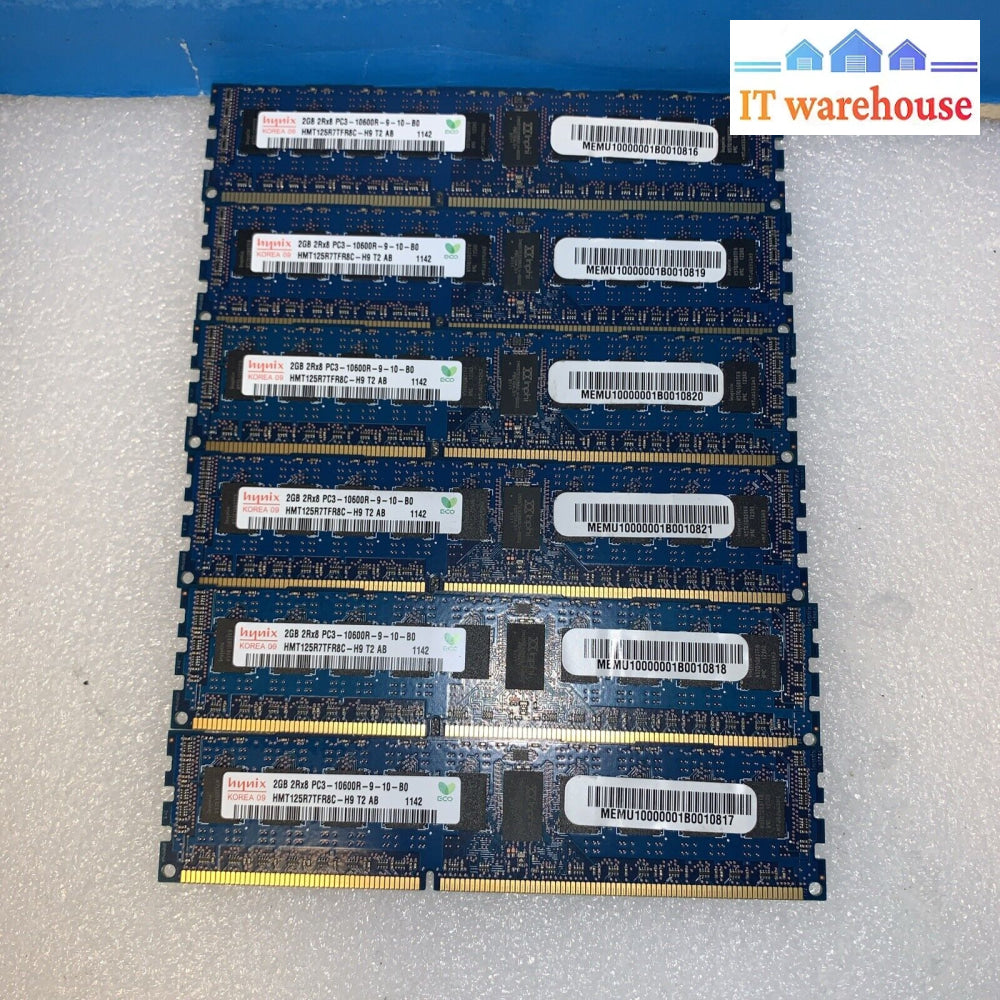 6X Hynix 2Gb 2Rx8 Pc3-10600R-9-10-B0 Hmt125R7Tfr8C-H9 Ecc Memory Ram