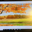 ~(Grade A) Dell U2913Wmt 29’ 2560 X 1080 Hd Widescreen Lcd Hdmi Monitor W/ Stand