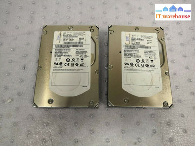 + Lot Of 2 Ibm St3300555Ss 9Dj066-039 39R7344 300Gb 10000Rpm Hdd