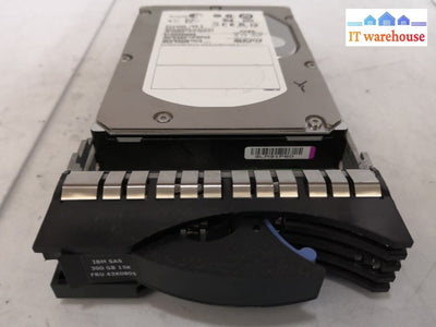 - Seagate St3300655Ss 9Z1066-065 300Gb 15K Sas 3.5 Hard Drive W/Tray @@@